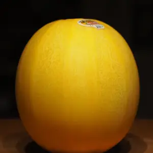 Yubari King Melon