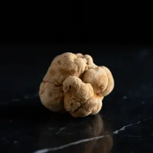 White Truffle (Italian)